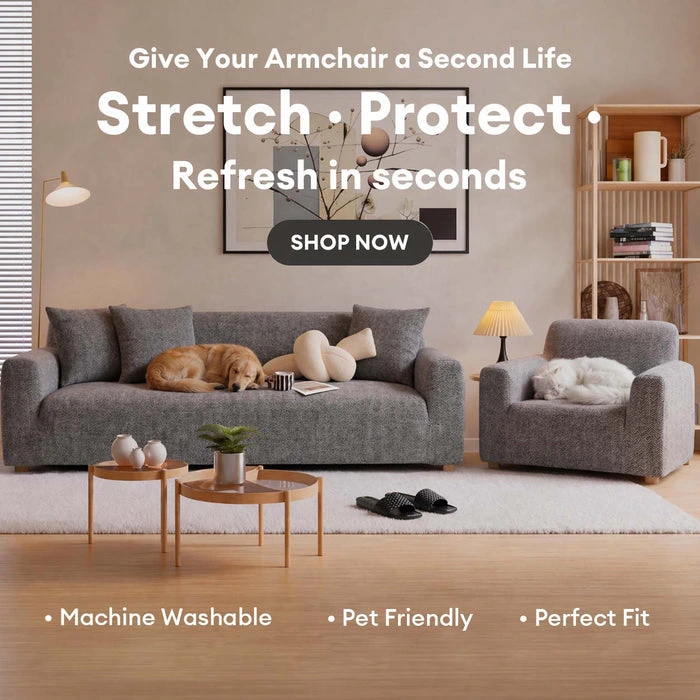 Cozy Comfort for Pet Parents