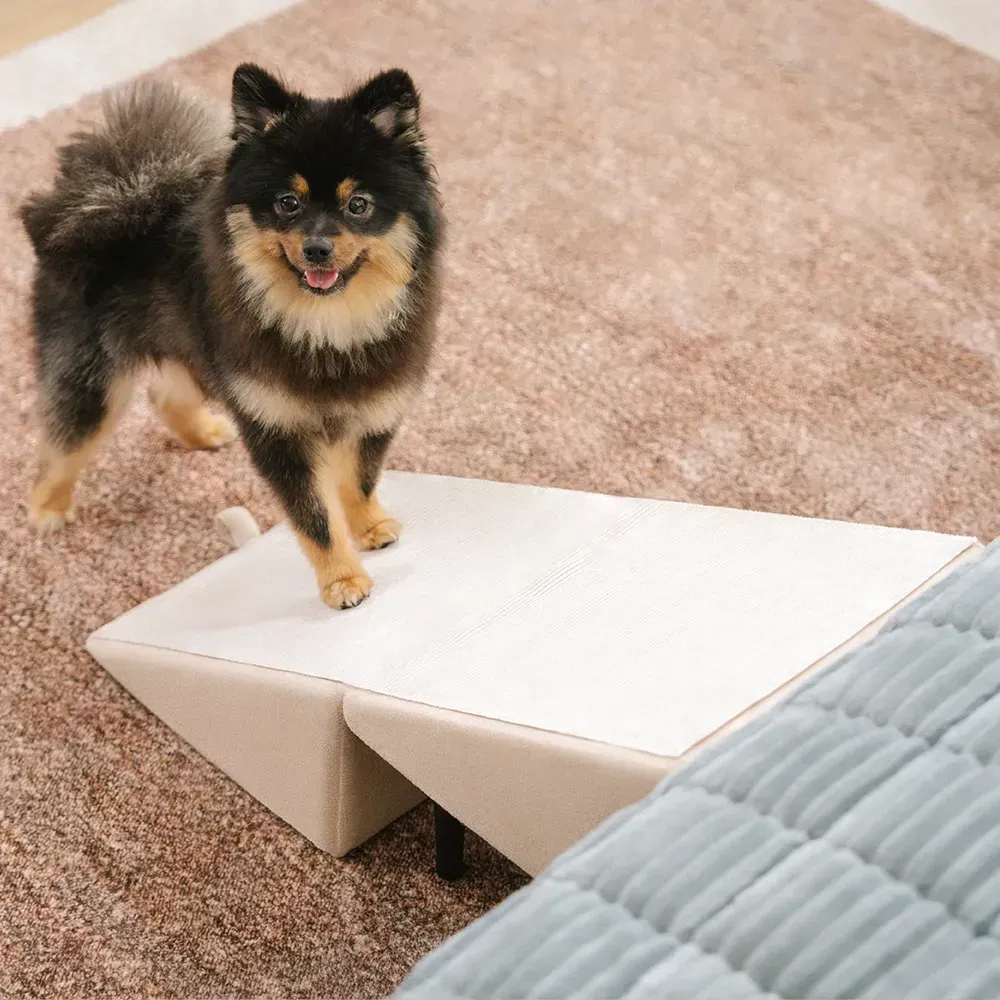 2-in-1 Convertible Wooden Home Step Stool Dog Ramp Stairs - Image 7