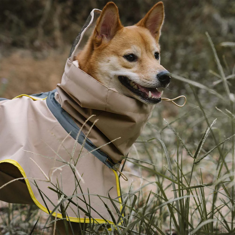 Adjustable Reflective Waterproof with Pocket Dog Human Matching Raincoat-Stay Dry - Image 15