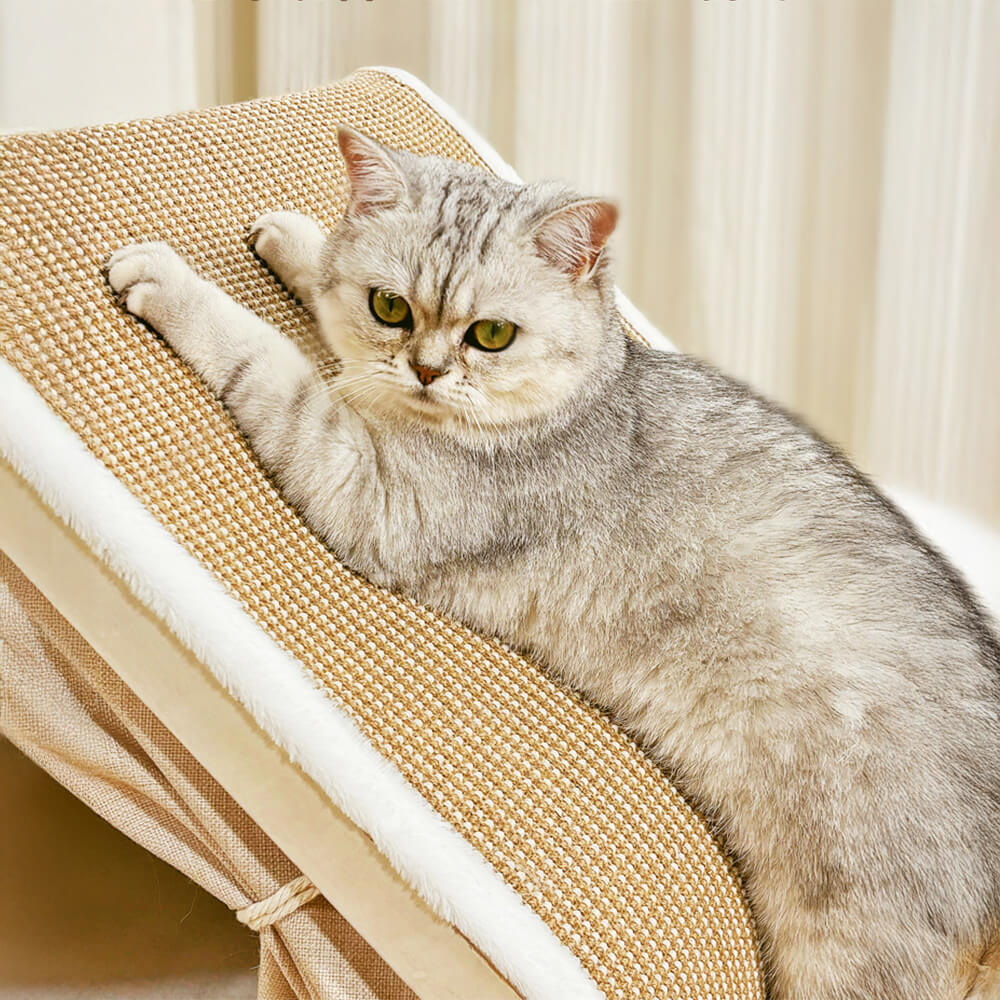 All-in-One Cat Tent with Scratching Roof and Cosy Sleeping Area - Image 6