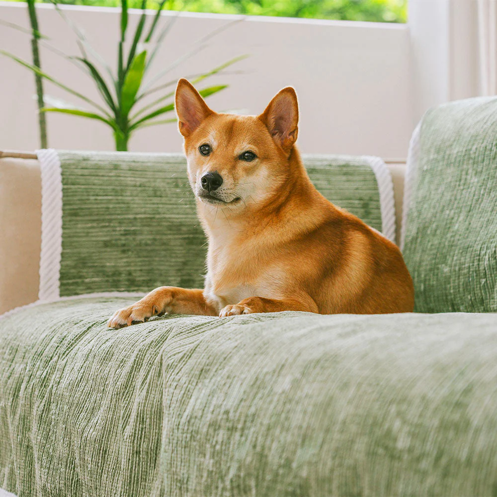 All-Season Anti-Slip Striped Pet Rug Furniture Protector with Armrest Couch Cover - Keep Still - Image 8