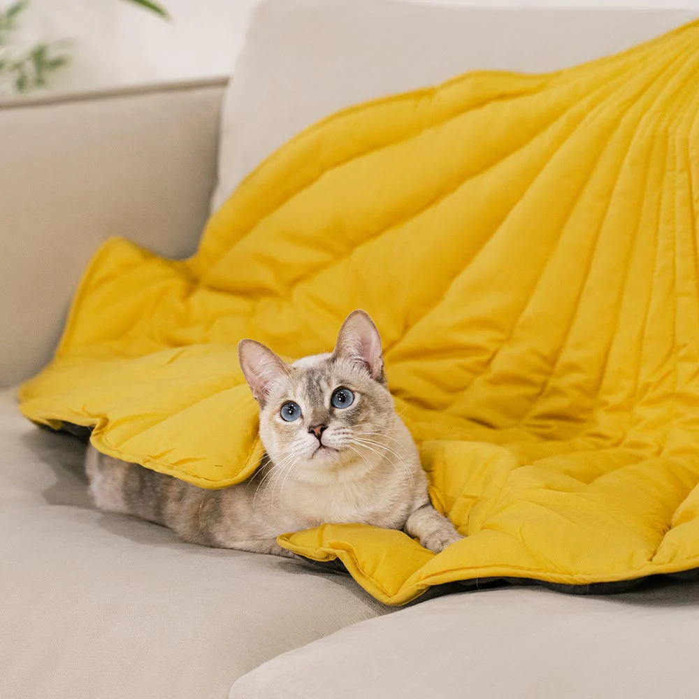 All-Season Washable Throw Furniture Protector Cat Bed Blankets - Image 2