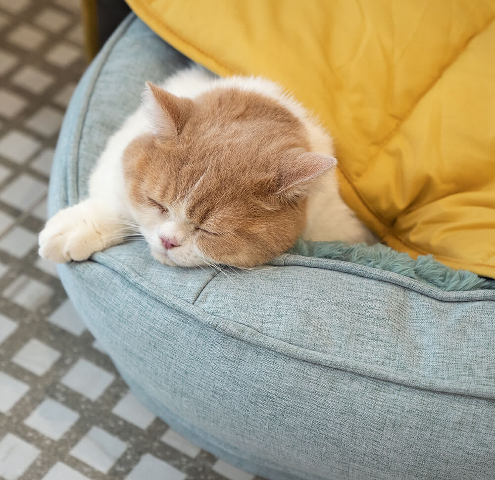 All-Season Washable Throw Furniture Protector Cat Bed Blankets - Image 8