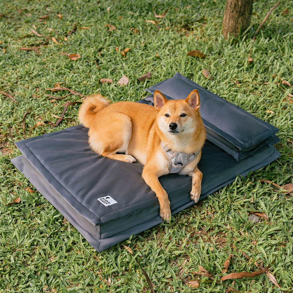 Anti-Anxiety with Sponge Support Deep Sleeping Dog Bed - Image 12