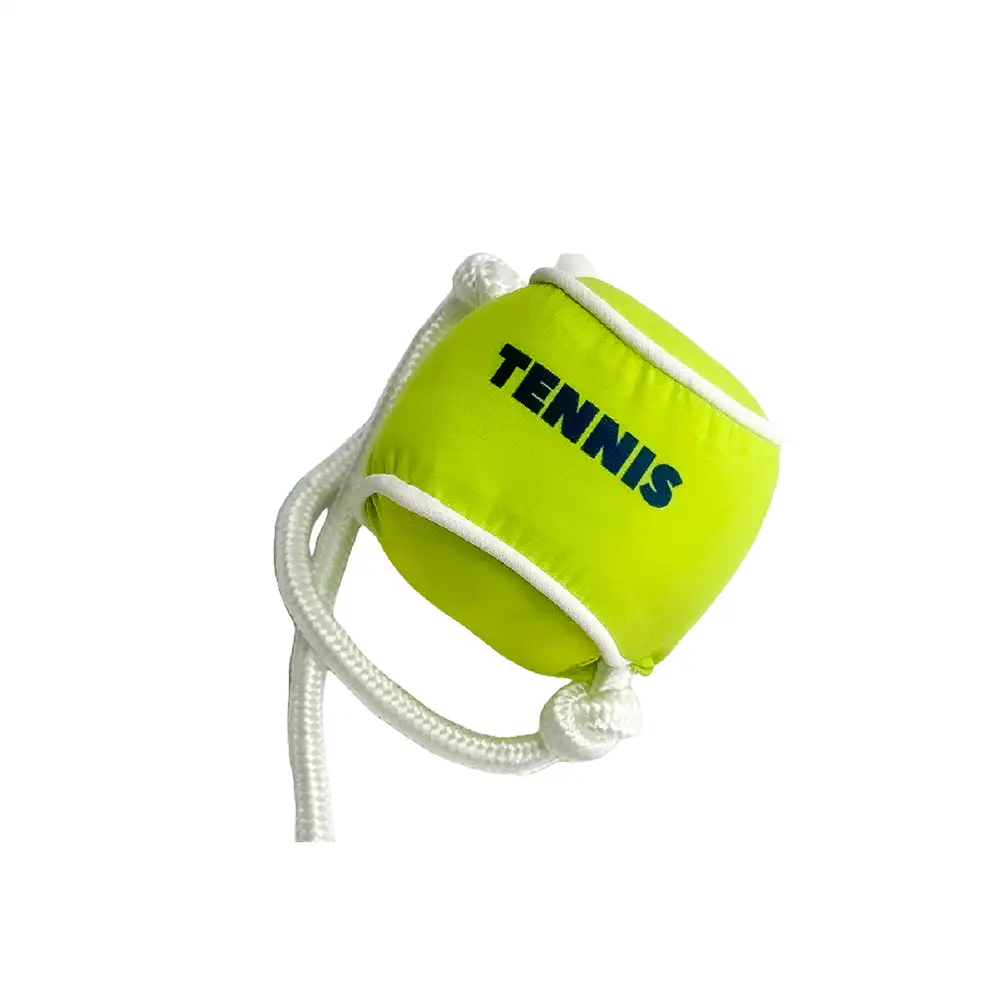Beach Fun Series Ball Educational Interactive Dog Toys - Image 10