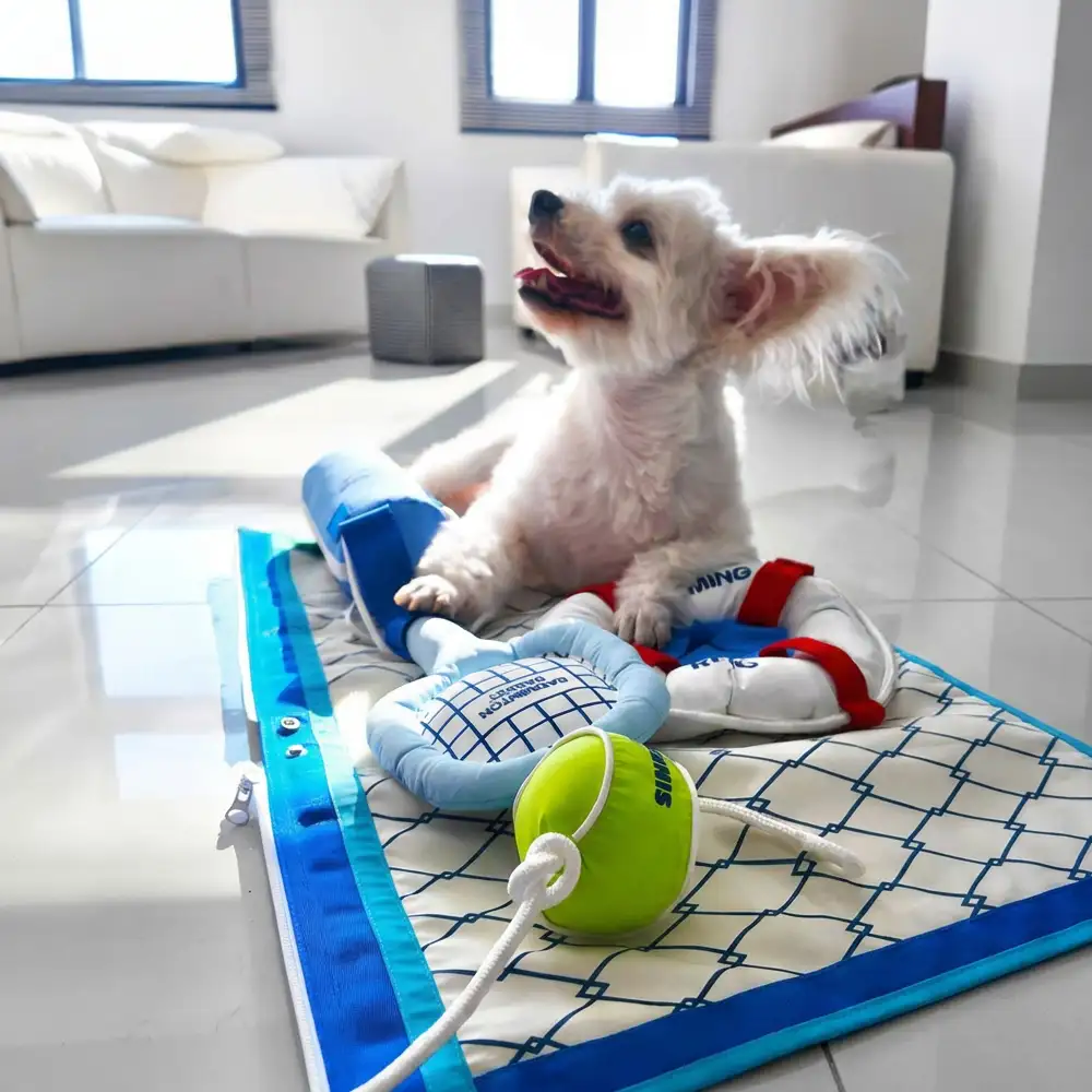Beach Fun Series Ball Educational Interactive Dog Toys - Image 3