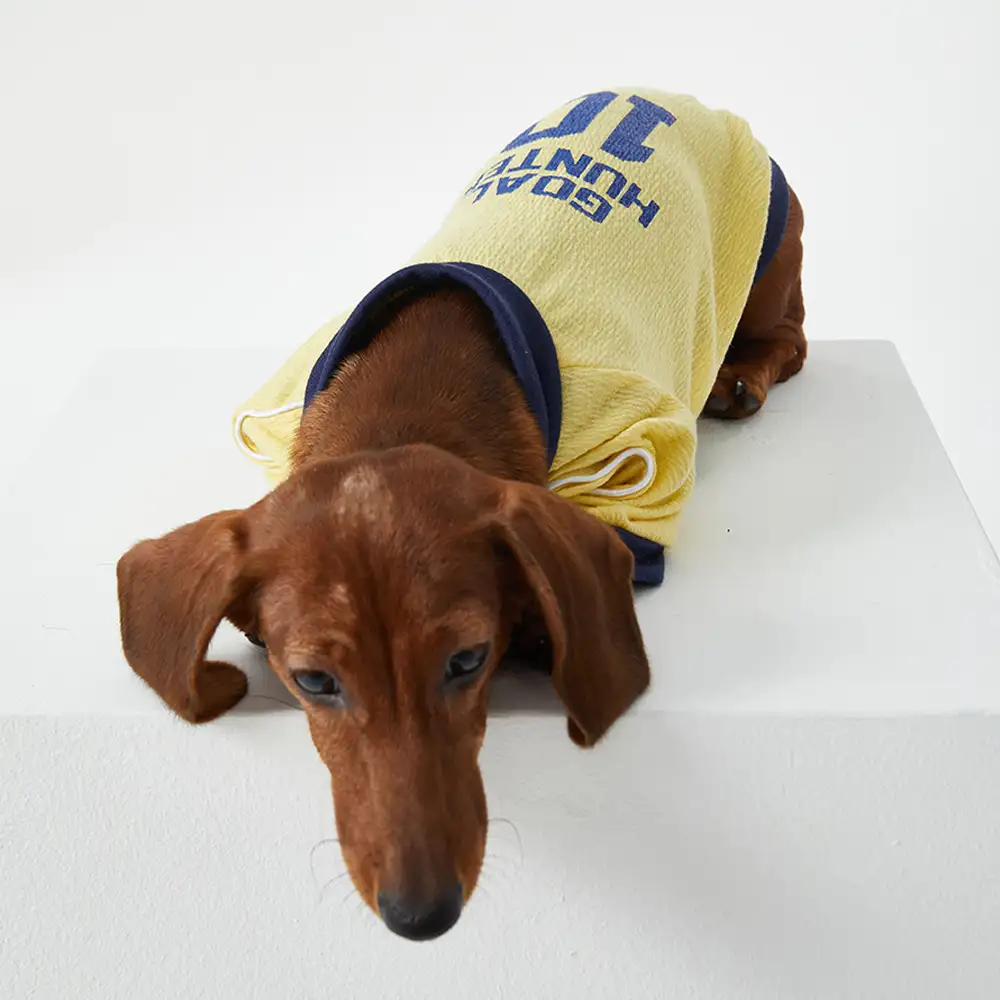 Breathable Thin Puppy Crewneck T-Shirt - Image 11