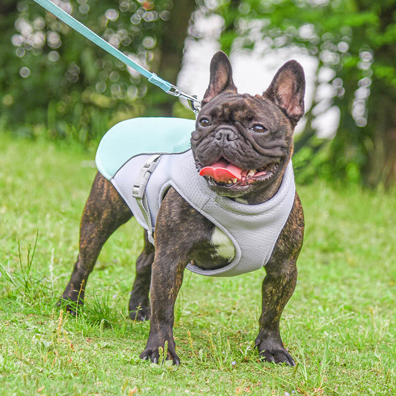 Breathable Vest For Sunstroke Prevention Water-soluble Dog Cooling Vest - Image 11