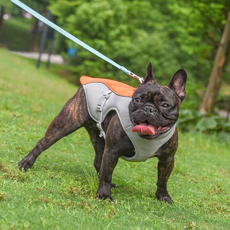 Breathable Vest For Sunstroke Prevention Water-soluble Dog Cooling Vest - Image 12