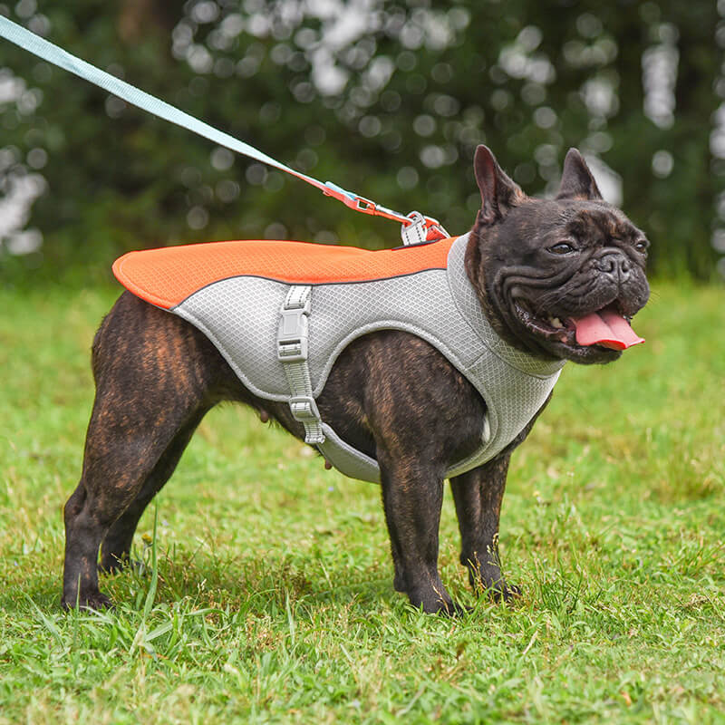 Breathable Vest For Sunstroke Prevention Water-soluble Dog Cooling Vest - Image 13