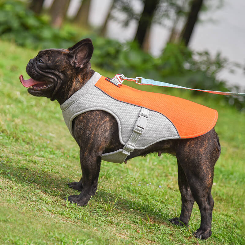 Breathable Vest For Sunstroke Prevention Water-soluble Dog Cooling Vest - Image 14