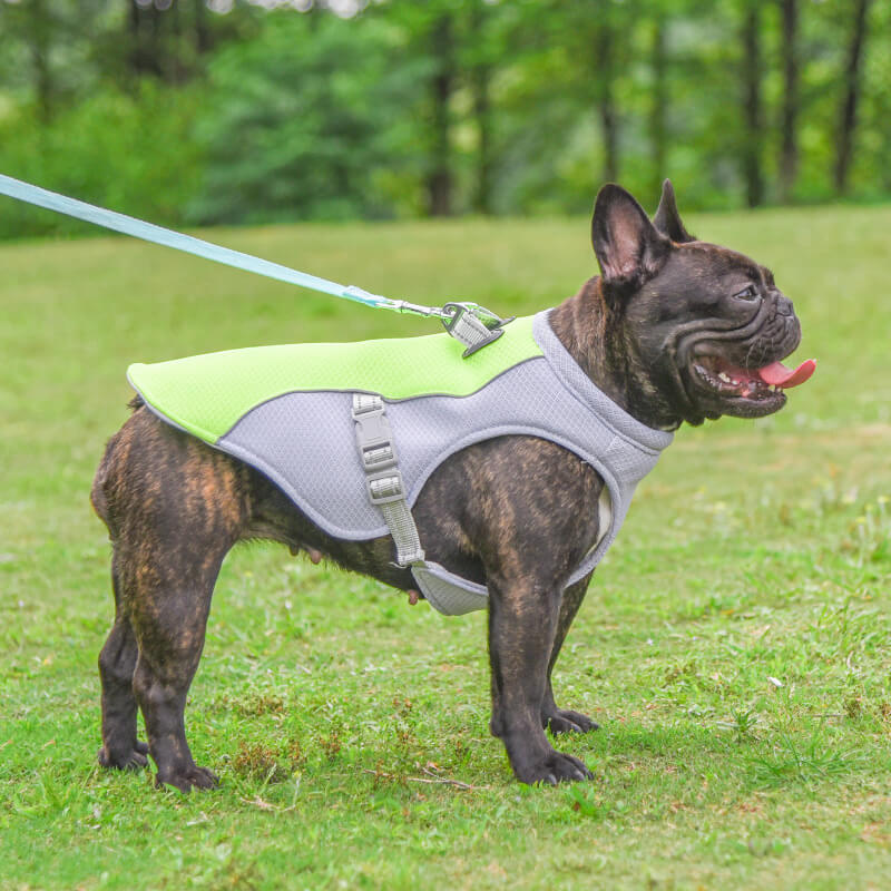 Breathable Vest For Sunstroke Prevention Water-soluble Dog Cooling Vest - Image 15