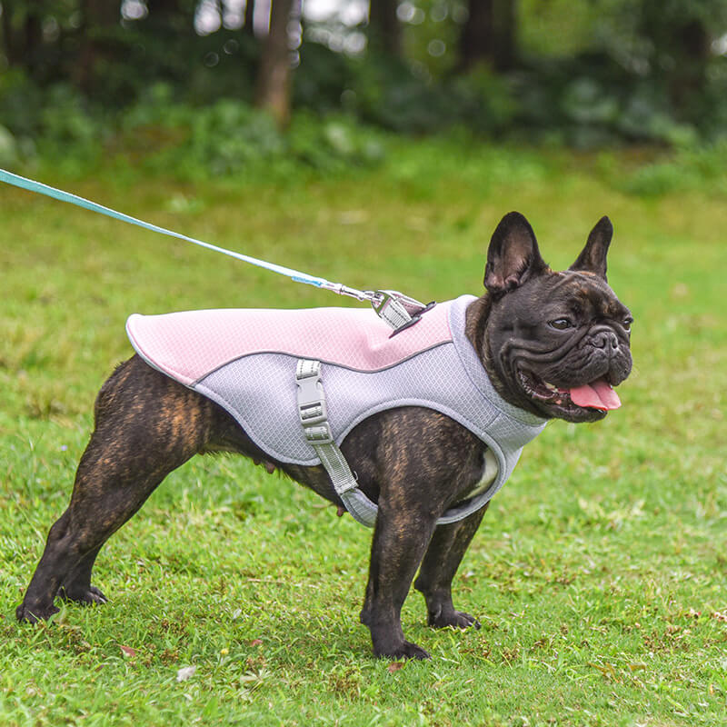 Breathable Vest For Sunstroke Prevention Water-soluble Dog Cooling Vest - Image 2