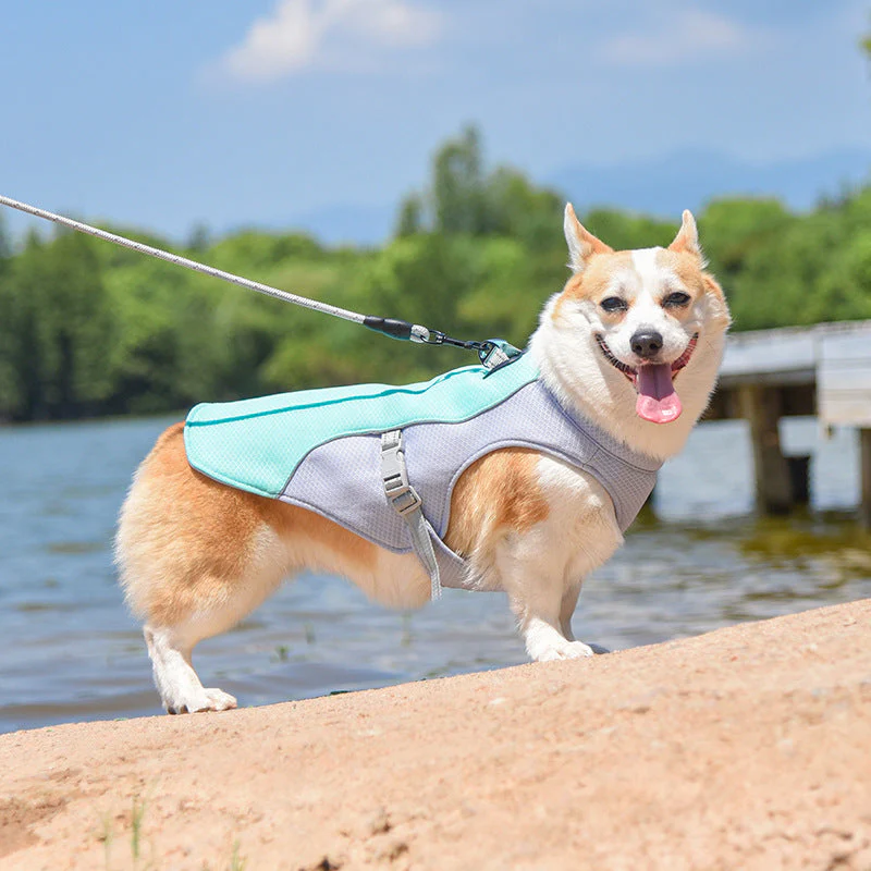 Breathable Vest For Sunstroke Prevention Water-soluble Dog Cooling Vest - Image 3