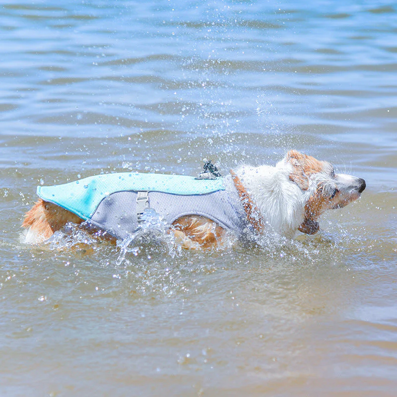 Breathable Vest For Sunstroke Prevention Water-soluble Dog Cooling Vest - Image 4