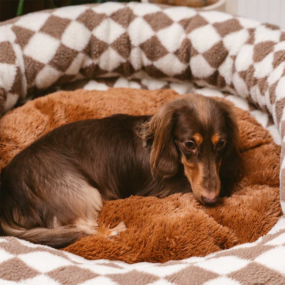Classic Argyle Washable Bolster Donut Dog Bed - Cosy Haven - Image 4