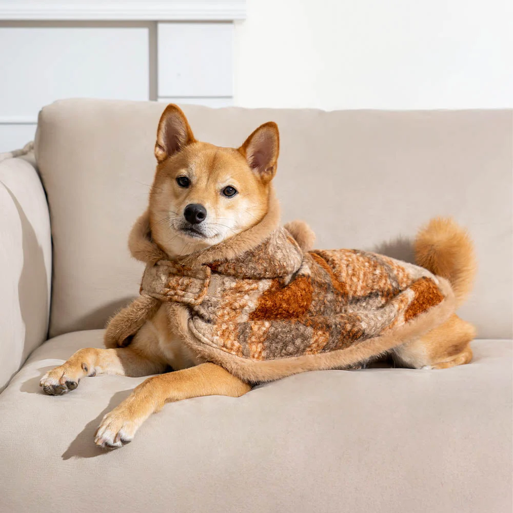 Classic Plaid Warmth Human & Dog Poncho - Festive Companions - Image 24