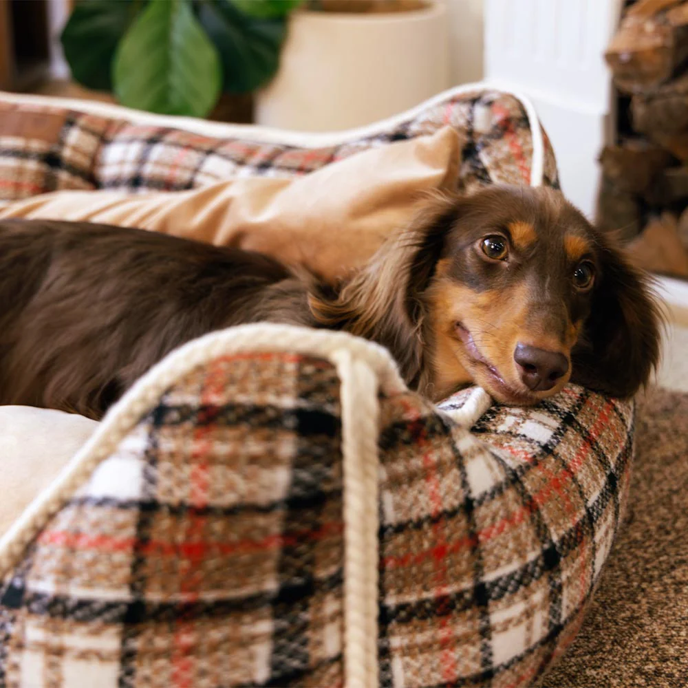 Classical Retro Plaid Removable Bolster Calming Dog Bed - Nostalgic Retreat - Image 4