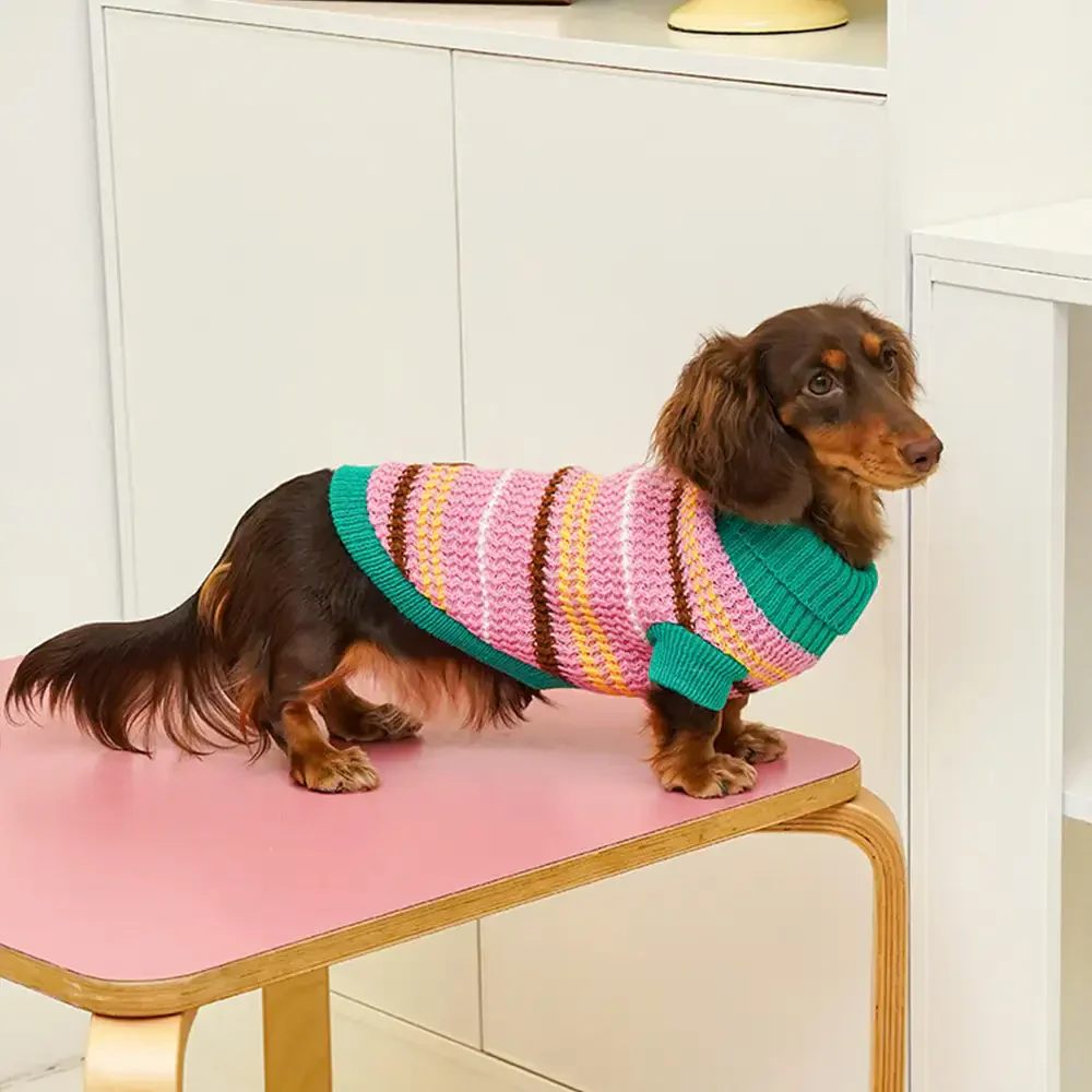 Color Blocked Striped Dachshund Dog Jumper - Image 10