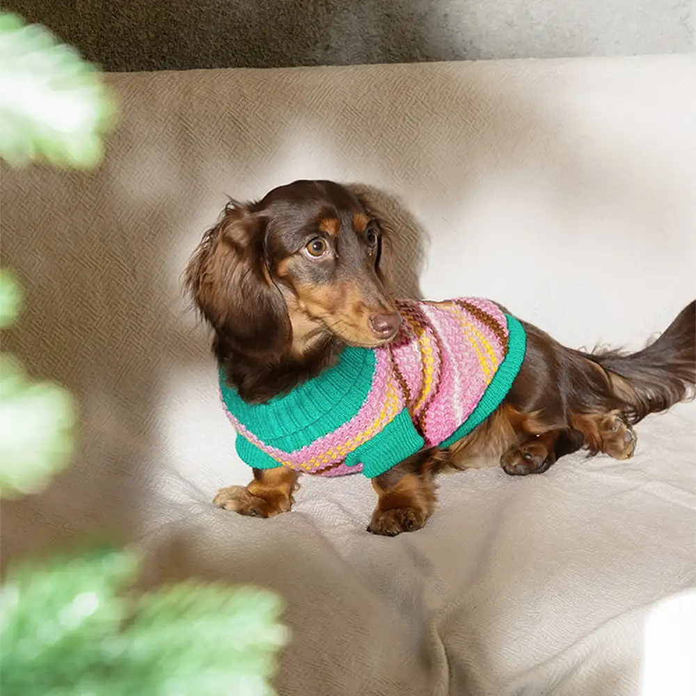 Color Blocked Striped Dachshund Dog Jumper - Image 11