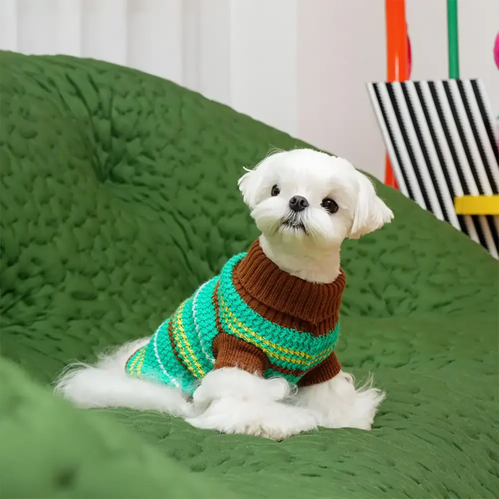 Color Blocked Striped Dachshund Dog Jumper - Image 13