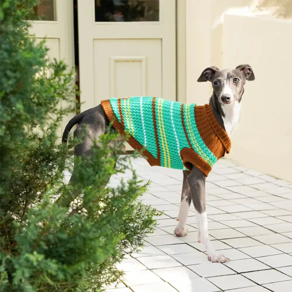 Color Blocked Striped Dachshund Dog Jumper - Image 14