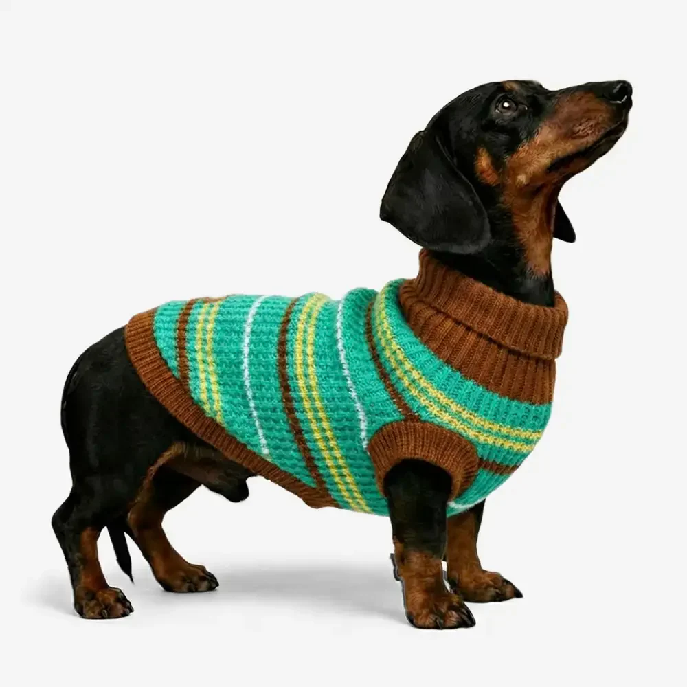 Color Blocked Striped Dachshund Dog Jumper - Image 2