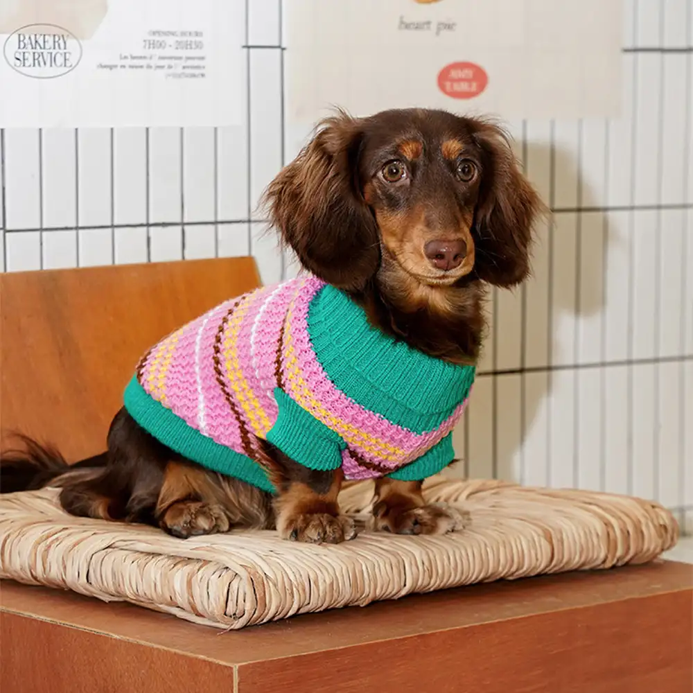 Color Blocked Striped Dachshund Dog Jumper - Image 3