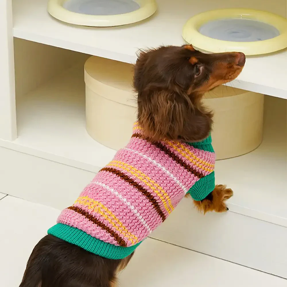 Color Blocked Striped Dachshund Dog Jumper - Image 4