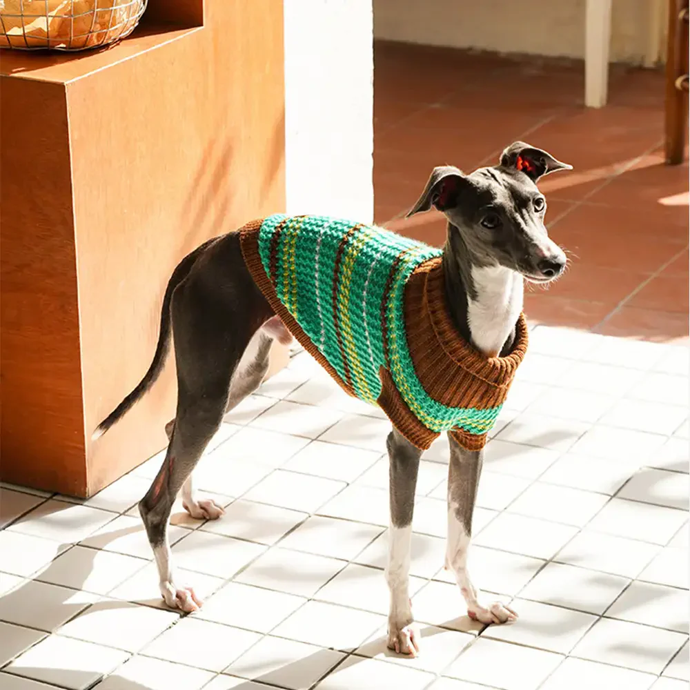 Color Blocked Striped Dachshund Dog Jumper - Image 5