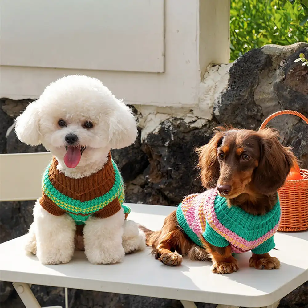 Color Blocked Striped Dachshund Dog Jumper - Image 8