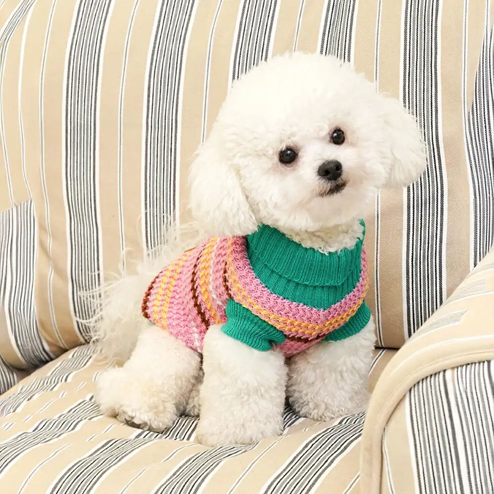 Color Blocked Striped Dachshund Dog Jumper - Image 9