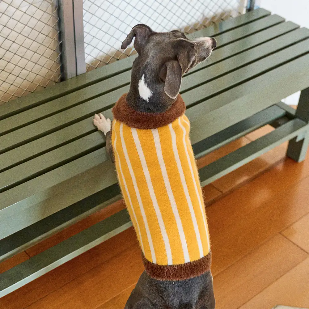 Color Blocked Striped Dachshund Polo Collar Dog Jumper - Image 11