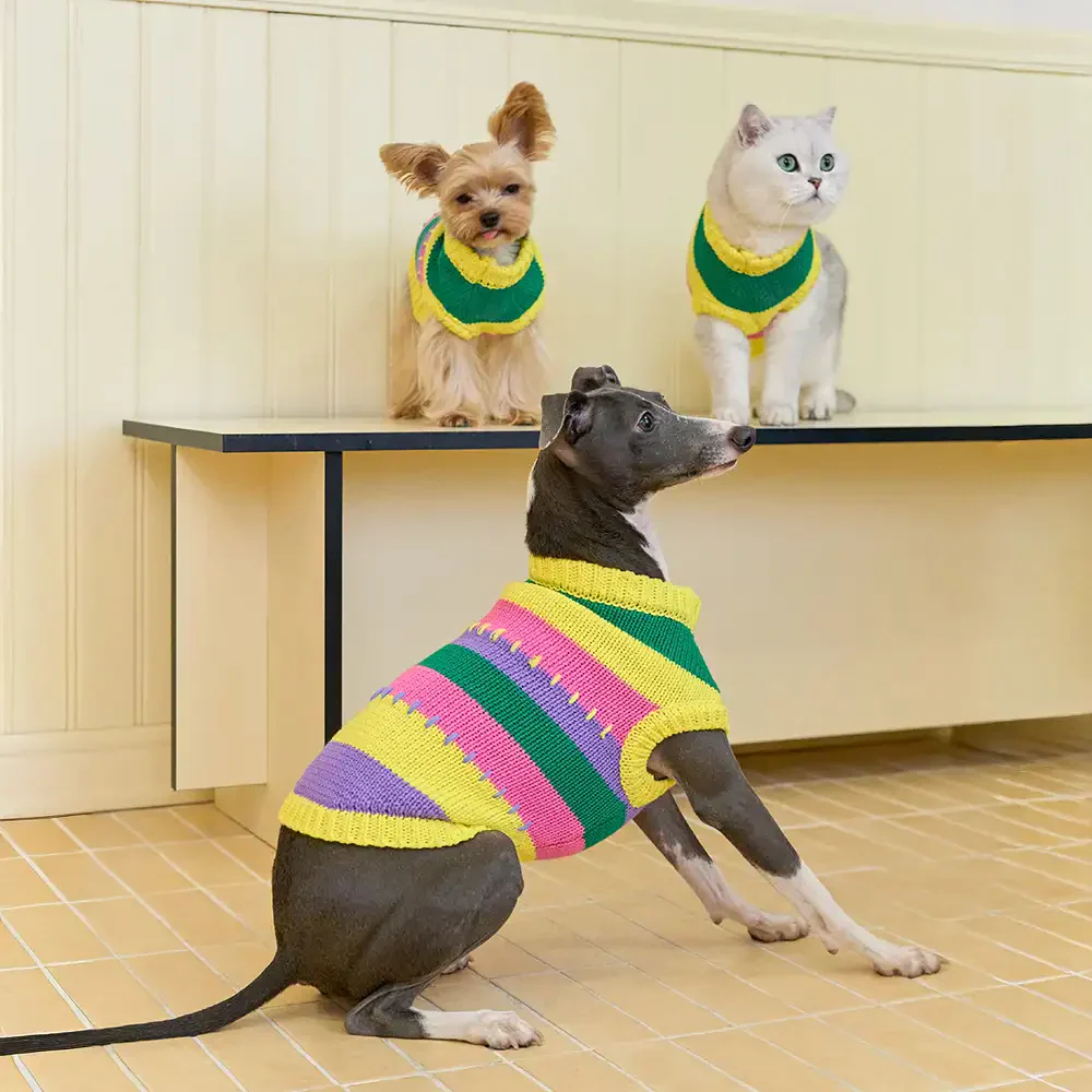 Color Blocked Striped Dachshund Sleeveless Dog Jumper - Image 3