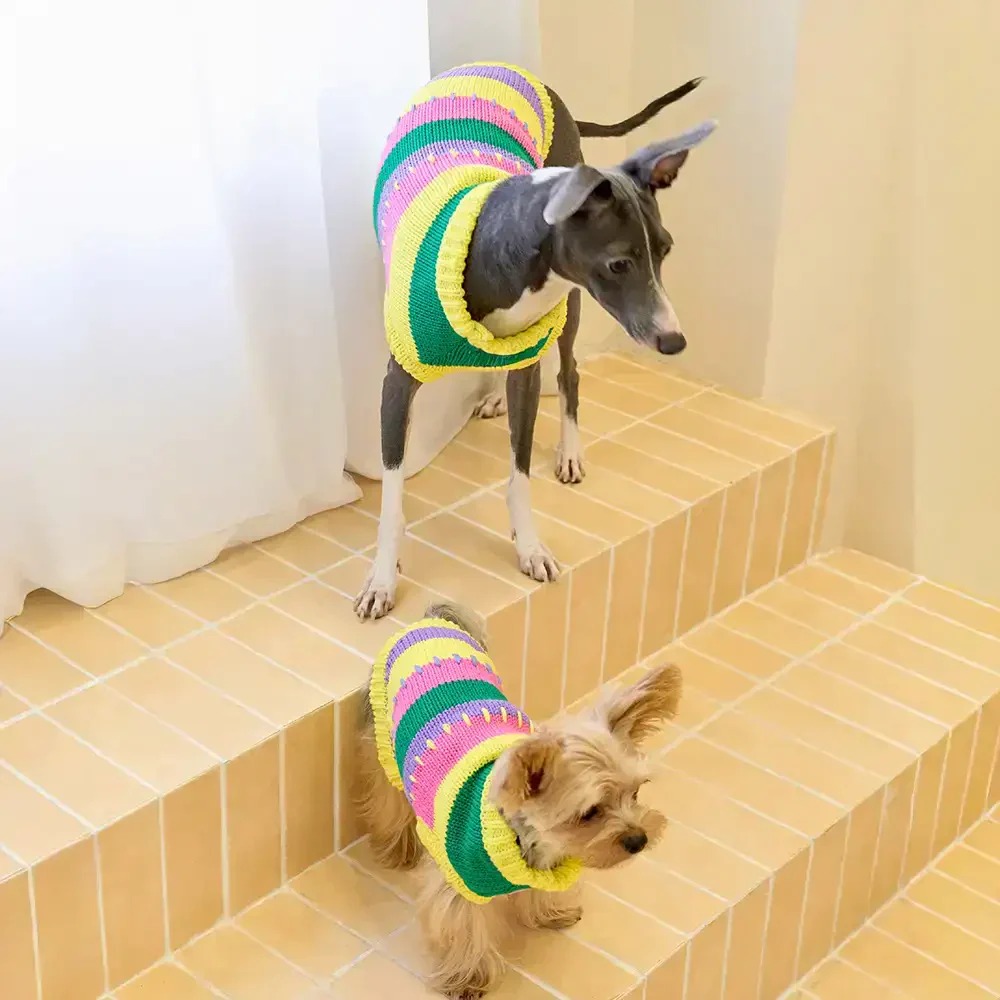 Color Blocked Striped Dachshund Sleeveless Dog Jumper - Image 4