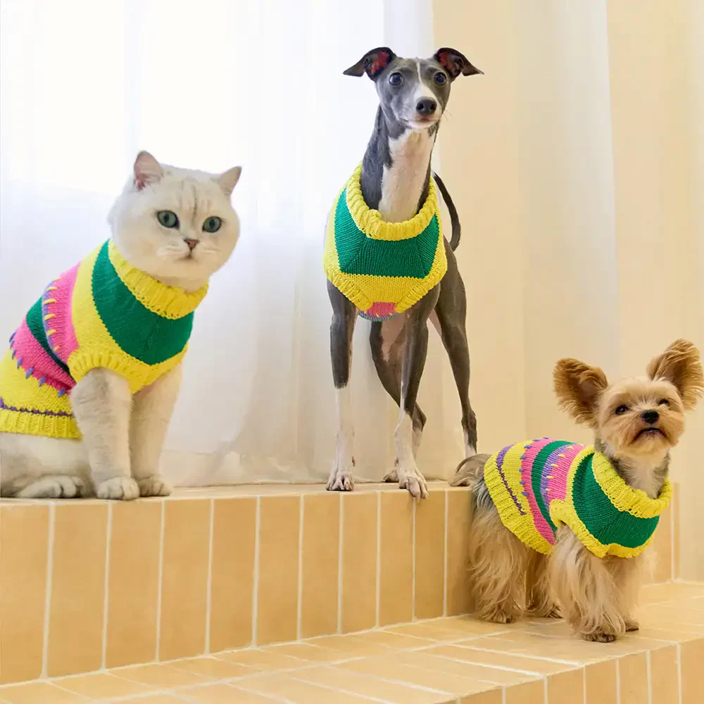 Color Blocked Striped Dachshund Sleeveless Dog Jumper - Image 8