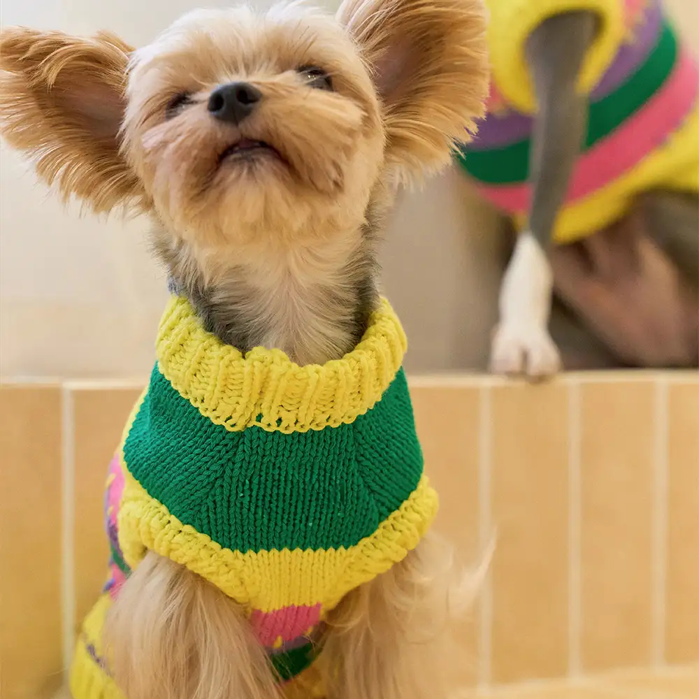 Color Blocked Striped Dachshund Sleeveless Dog Jumper - Image 9