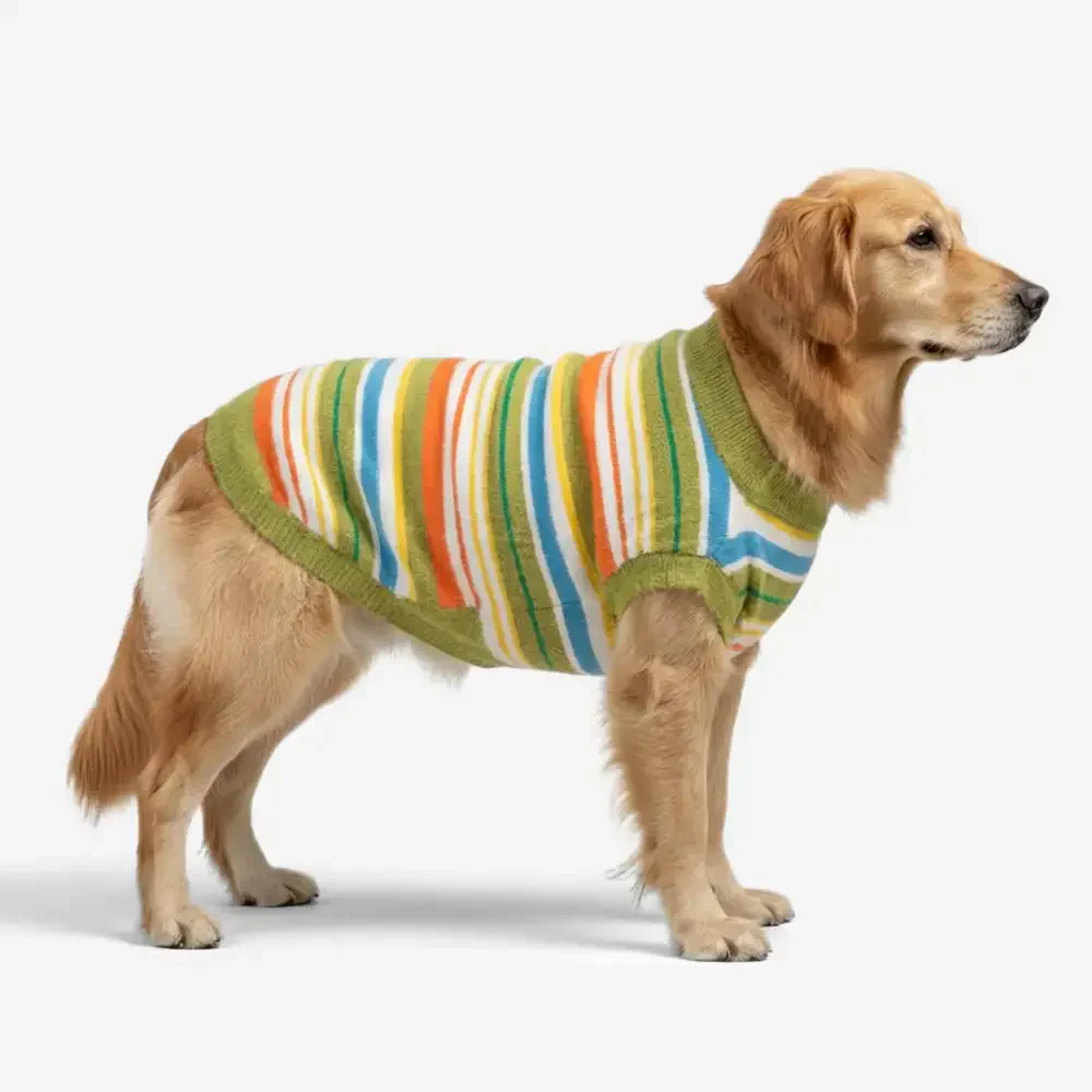 Color Blocked Striped Dog Jumper-Suitable For Large Dogs - Image 3