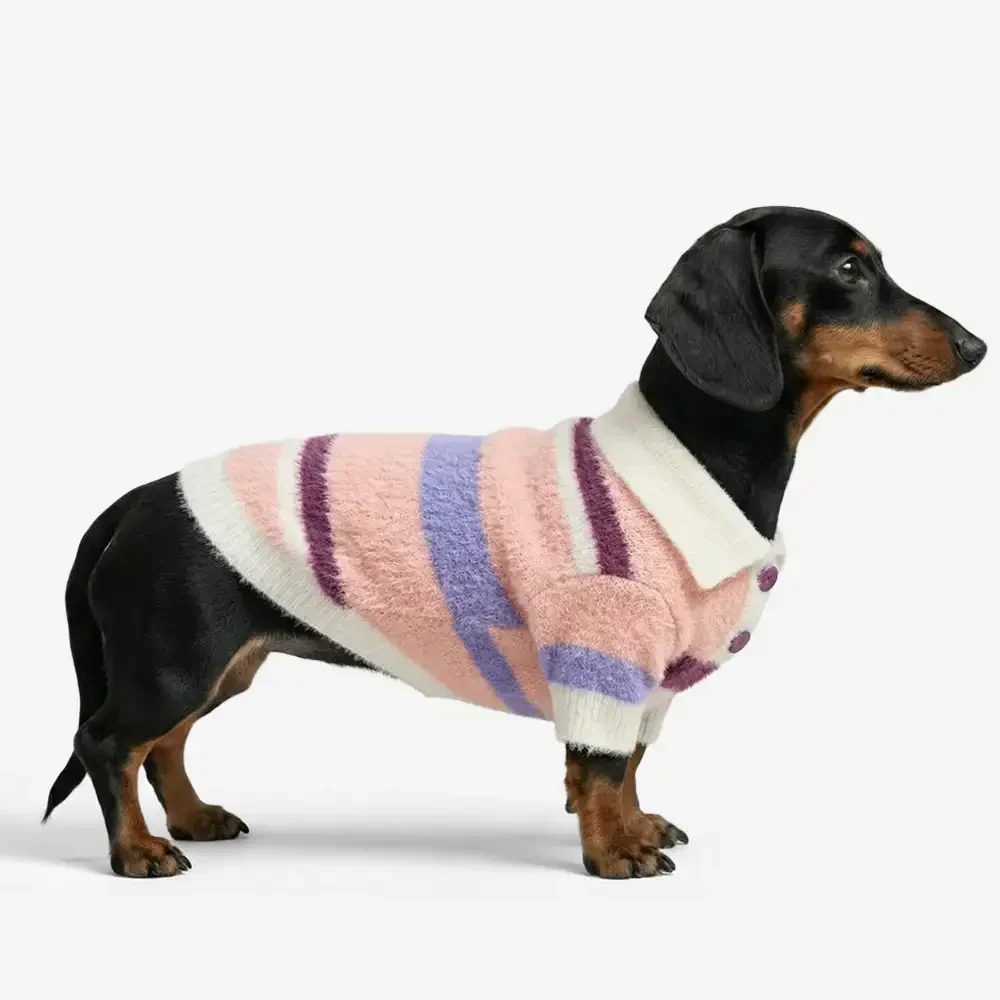 Color-Blocked Striped Faux Mink Fur Warm Dachshund Dog Jumper Suitable For Puppies
