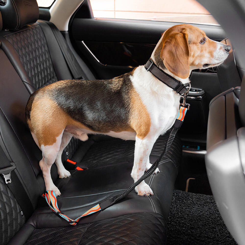 Colourful Buffer Adjustable Cool Dog Accessories Car Seat Belt - Image 3