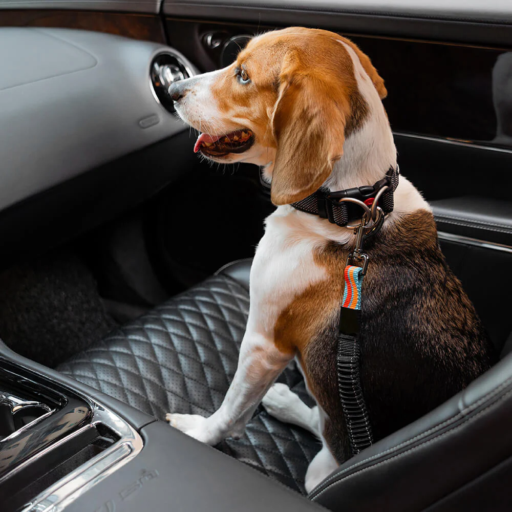 Colourful Buffer Adjustable Cool Dog Accessories Car Seat Belt - Image 4