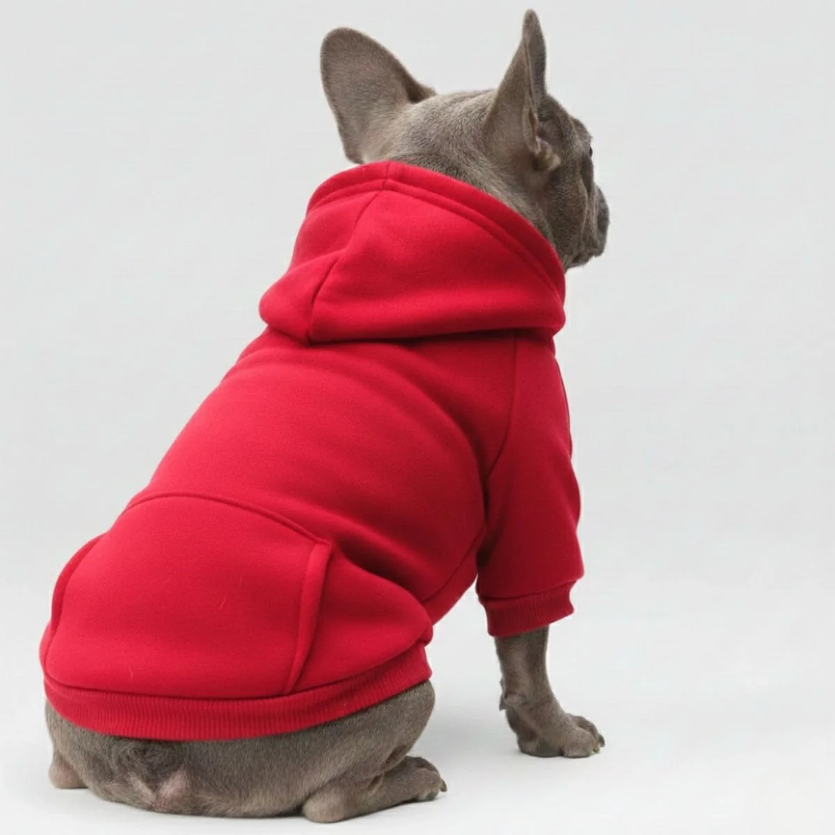 Colourful Cosy Dog Hoodies - Perfect for All-Weather Comfort - Image 2