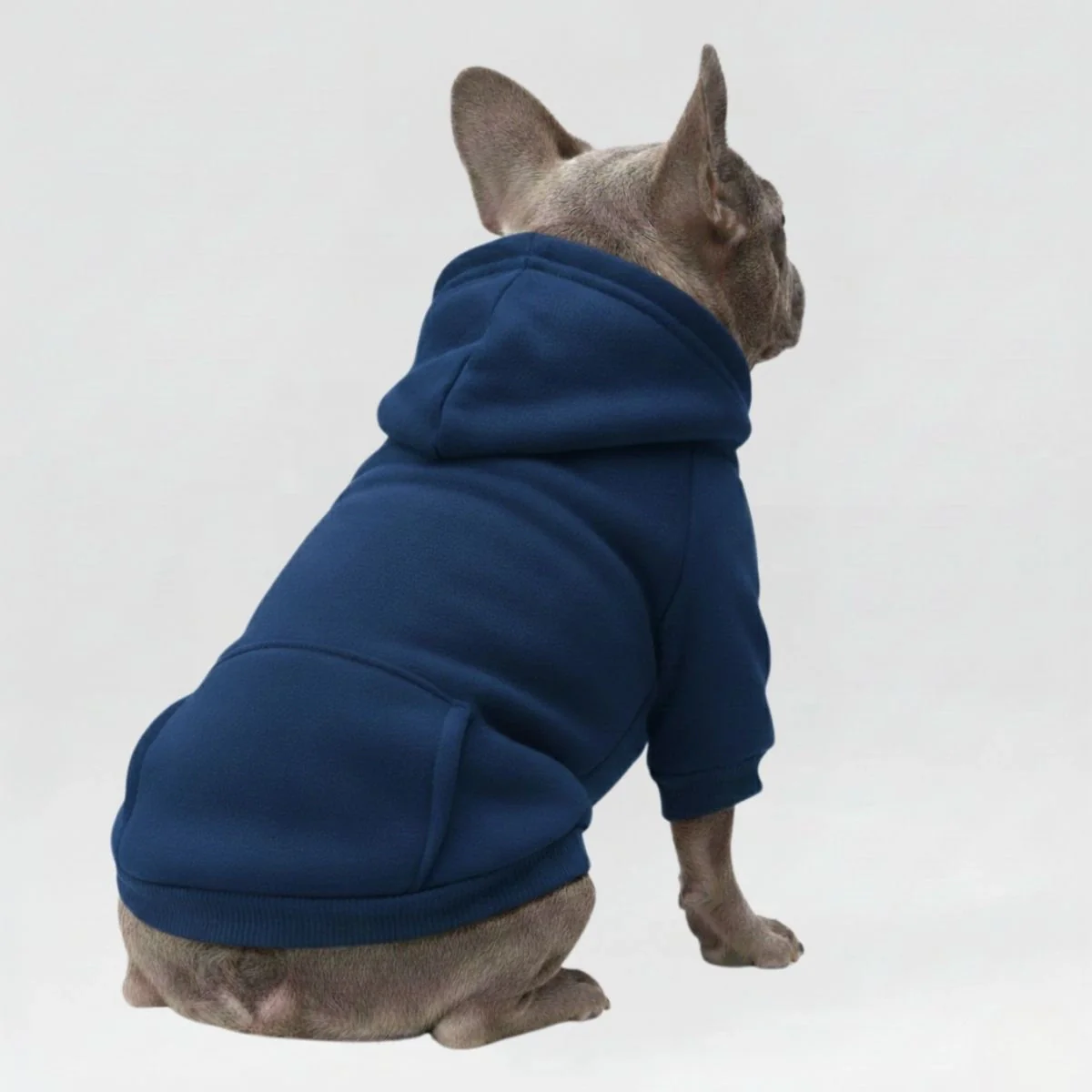 Colourful Cosy Dog Hoodies - Perfect for All-Weather Comfort - Image 3
