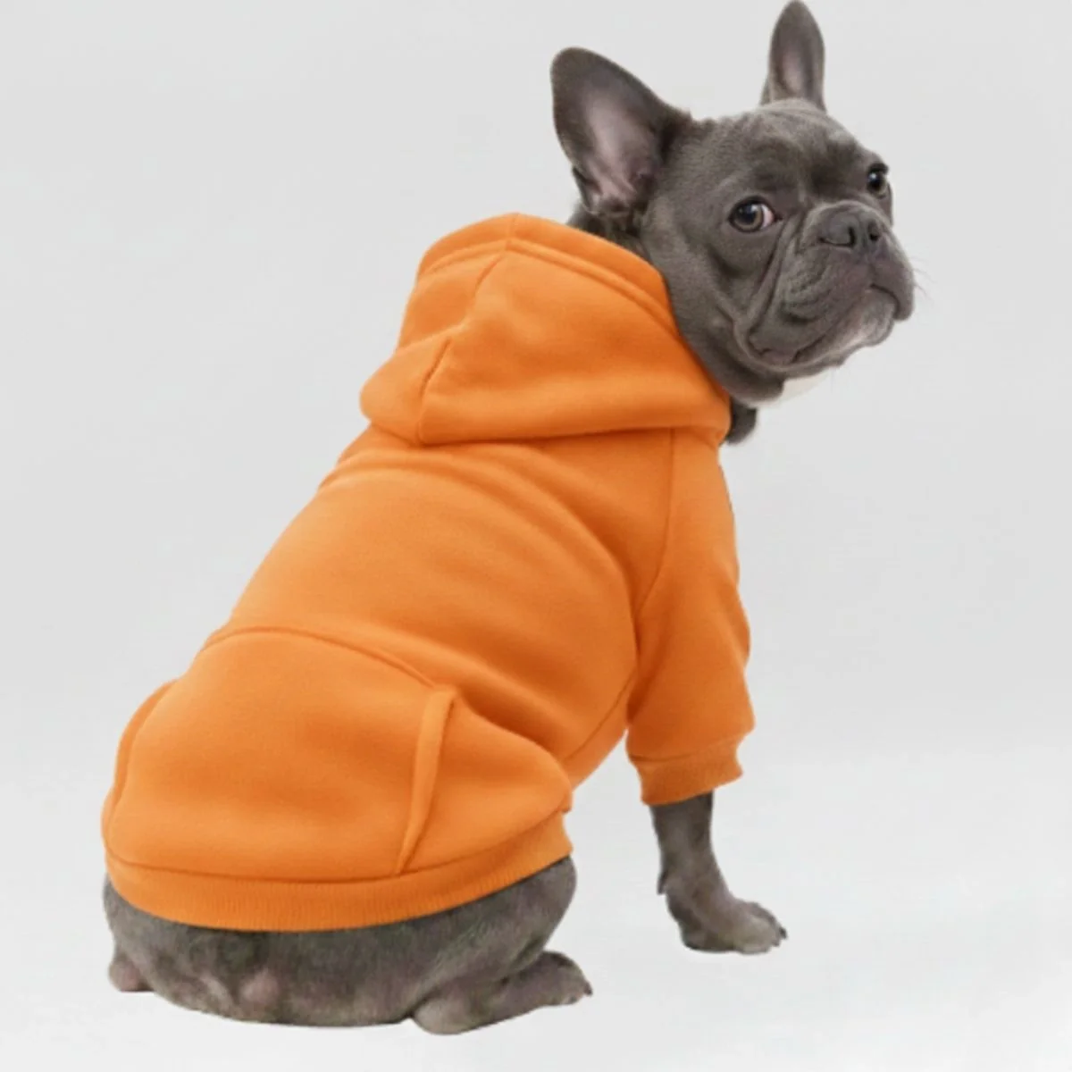 Colourful Cosy Dog Hoodies - Perfect for All-Weather Comfort - Image 4
