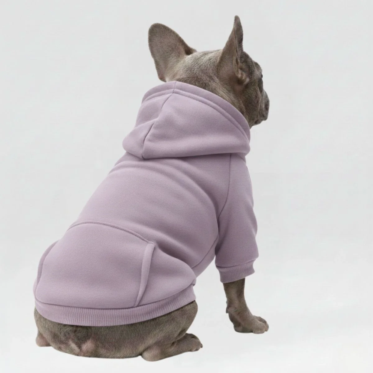 Colourful Cosy Dog Hoodies - Perfect for All-Weather Comfort - Image 7