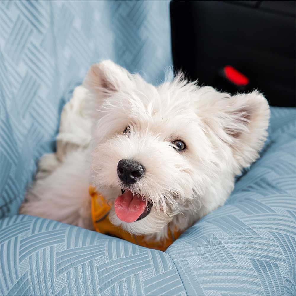Cooling Travel Bolster Safety Back Seat Large Dog Car Seat Bed - Chill Rover - Image 12