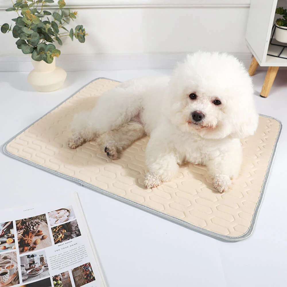 Cooling Washable Non-Slip Breathable Ice Silk Dog & Cat Mat - Image 4