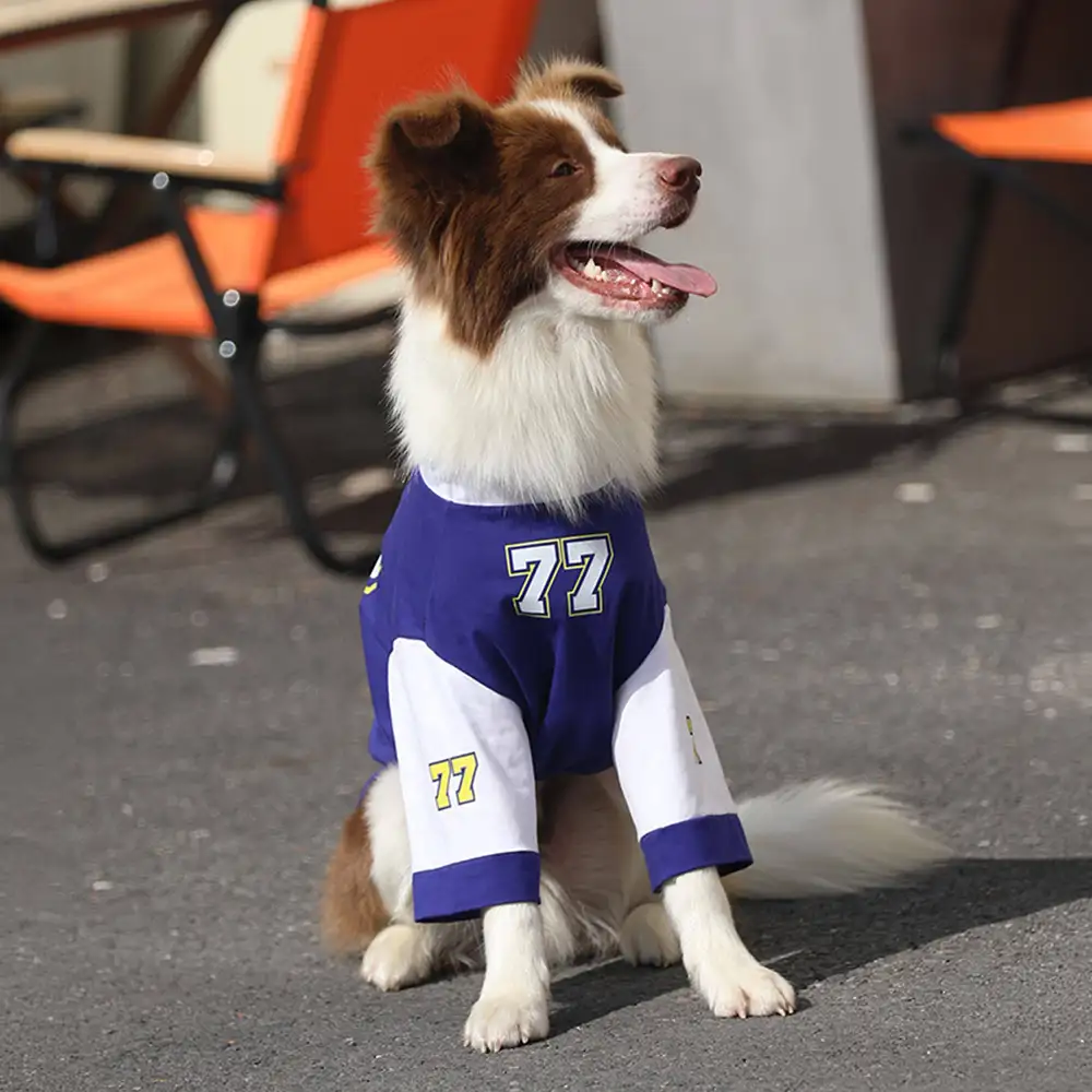 Crew Neck Breathable Washable All Breed Dog T-Shirt - Image 6