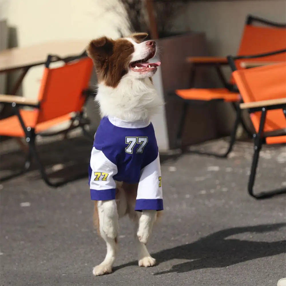 Crew Neck Breathable Washable All Breed Dog T-Shirt - Image 7