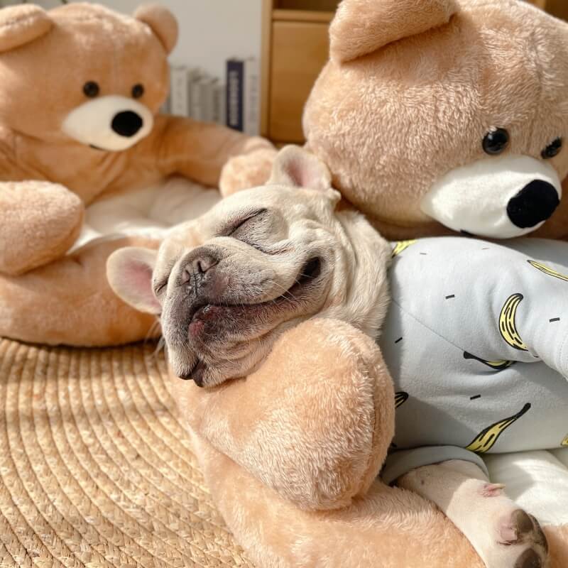 Cute Detachable Cuddle Bear Cat Bed - Image 6